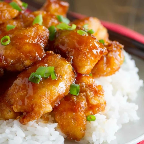 [30] SWEET & SOUR CHICKEN RICE
